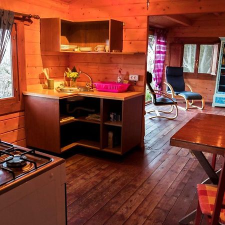 Finca Pura Vida Blockhaus Mazo Exteriör bild